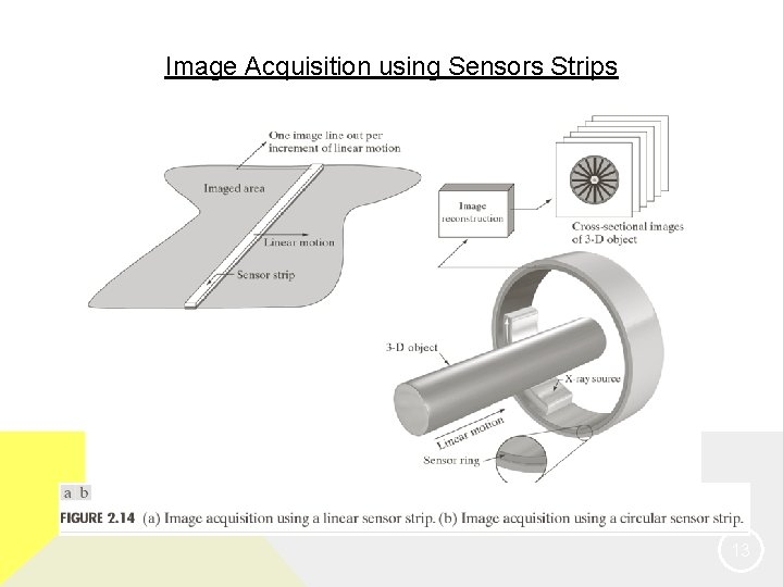 Image Acquisition using Sensors Strips 13 