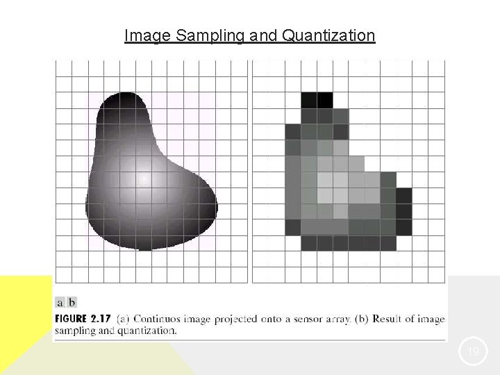 Image Sampling and Quantization 19 