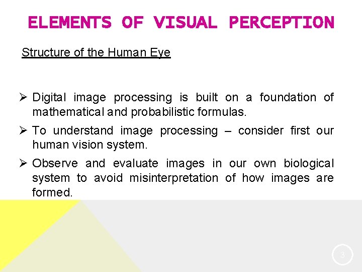 ELEMENTS OF VISUAL PERCEPTION Structure of the Human Eye Ø Digital image processing is