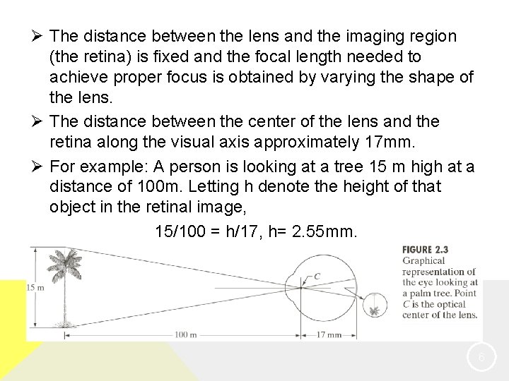 Ø The distance between the lens and the imaging region (the retina) is fixed