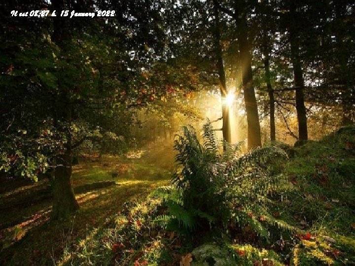 Il est 08: 27 h. 15 January 2022 