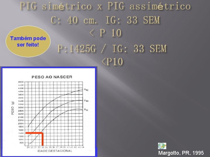 Também pode ser feito! Margotto, PR, 1995 