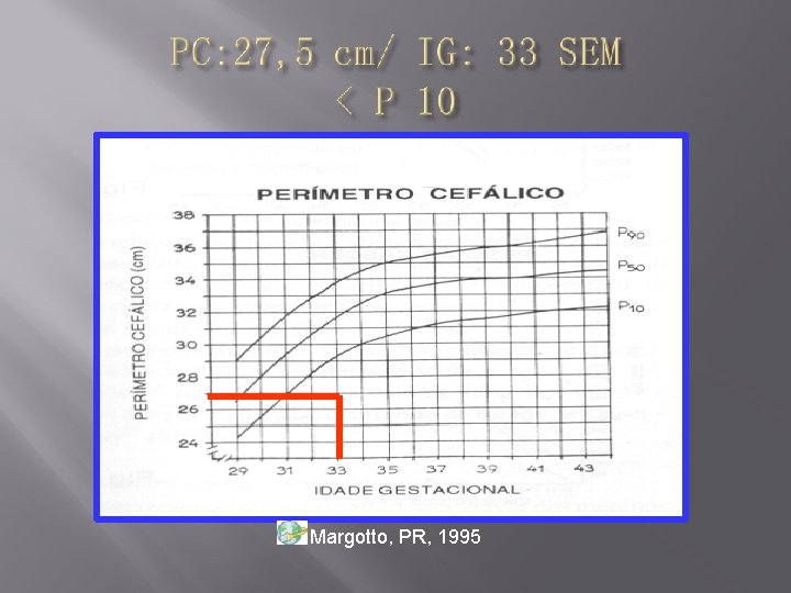 Margotto, PR, 1995 