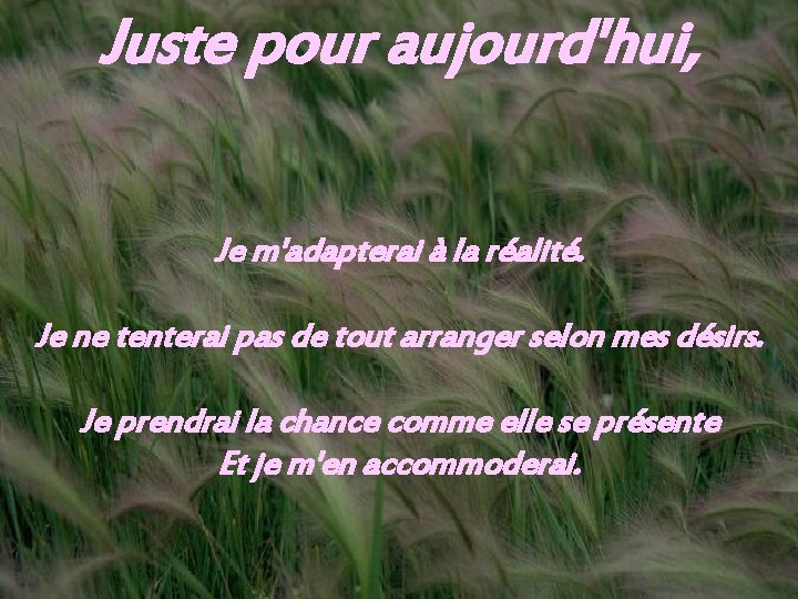 Juste pour aujourd'hui, Je m'adapterai à la réalité. Je ne tenterai pas de tout