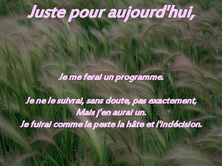 Juste pour aujourd'hui, Je me ferai un programme. Je ne le suivrai, sans doute,