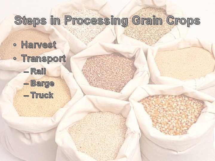 Steps in Processing Grain Crops • Harvest • Transport – Rail – Barge –