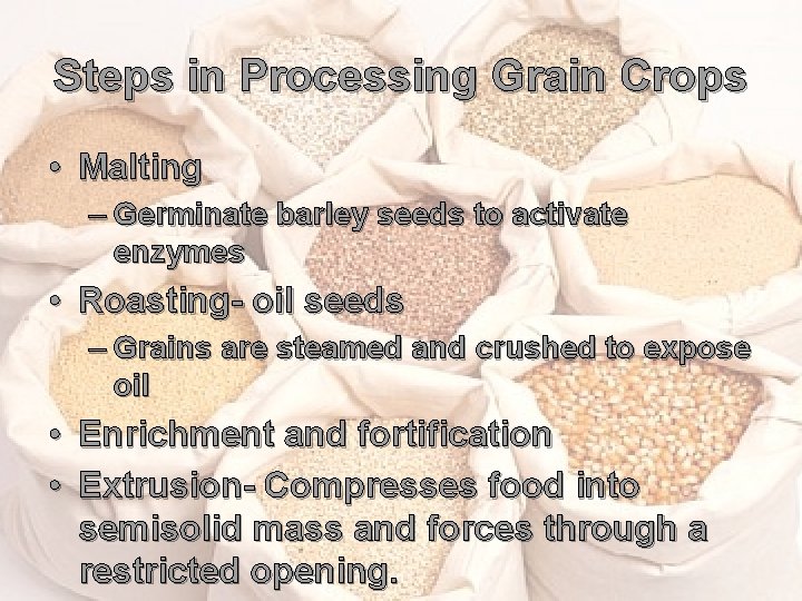 Steps in Processing Grain Crops • Malting – Germinate barley seeds to activate enzymes