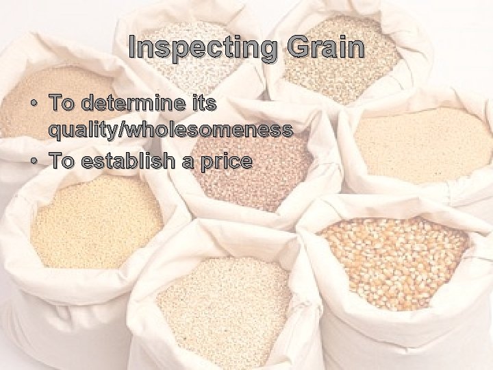 Inspecting Grain • To determine its quality/wholesomeness • To establish a price 
