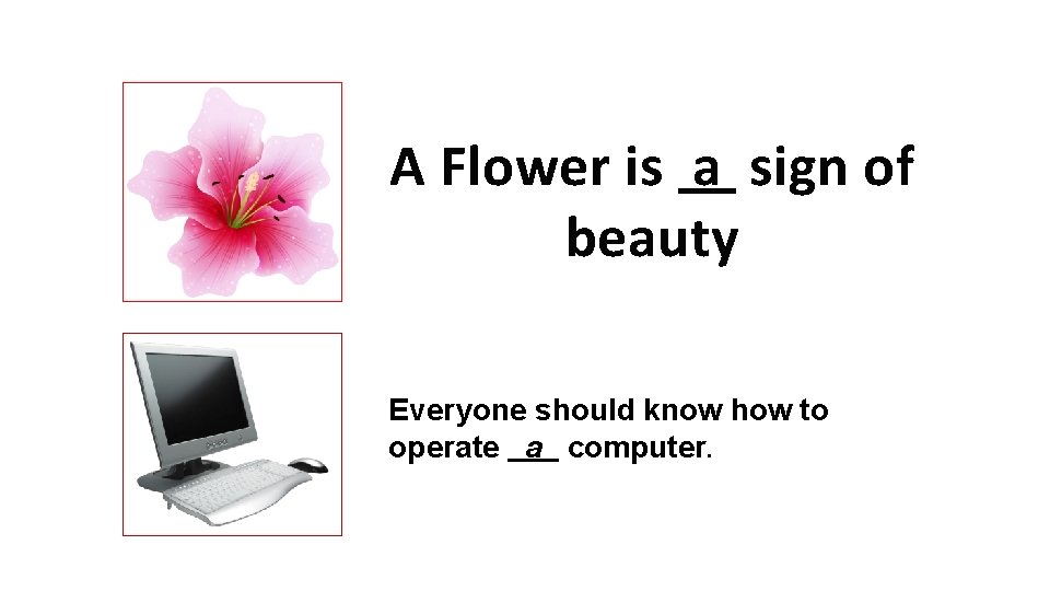 A Flower is a sign of beauty Everyone should know how to operate a