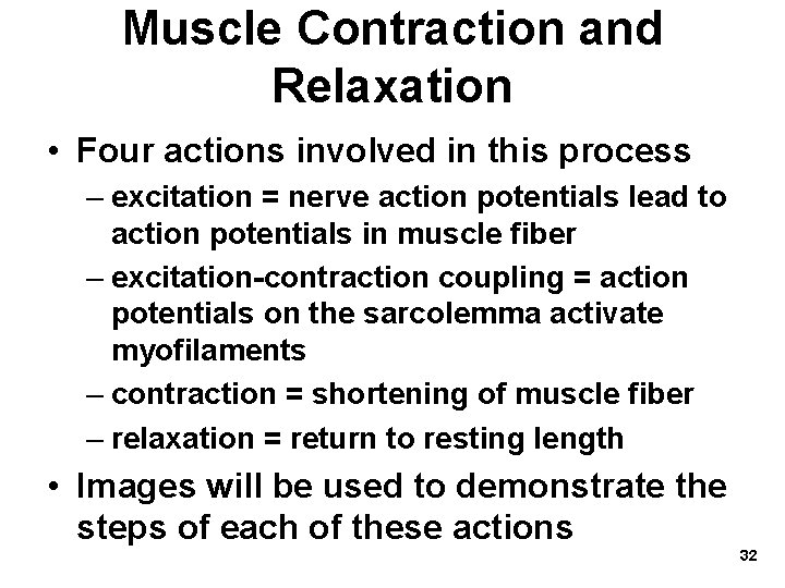 Muscle Contraction and Relaxation • Four actions involved in this process – excitation = Muscle Contraction and Relaxation • Four actions involved in this process – excitation =