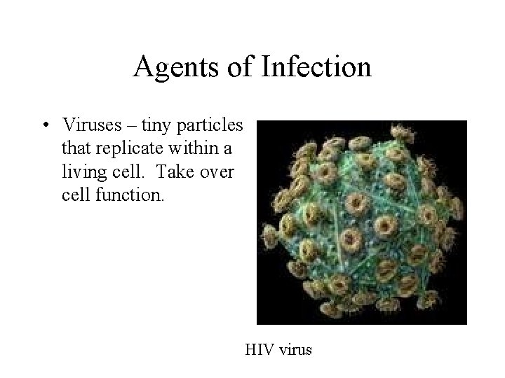 Agents of Infection • Viruses – tiny particles that replicate within a living cell.