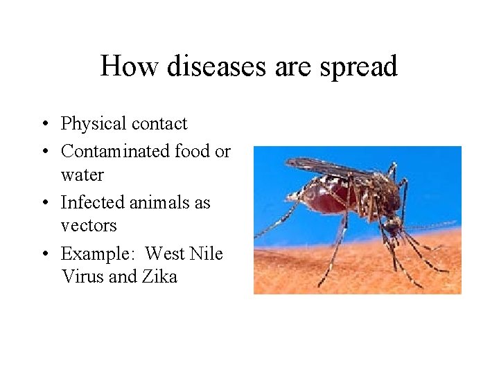 How diseases are spread • Physical contact • Contaminated food or water • Infected
