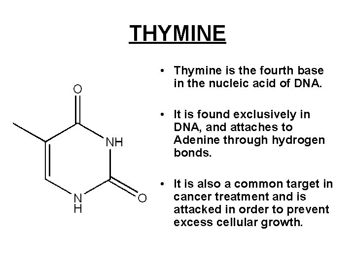 THYMINE • Thymine is the fourth base in the nucleic acid of DNA. • THYMINE • Thymine is the fourth base in the nucleic acid of DNA. •