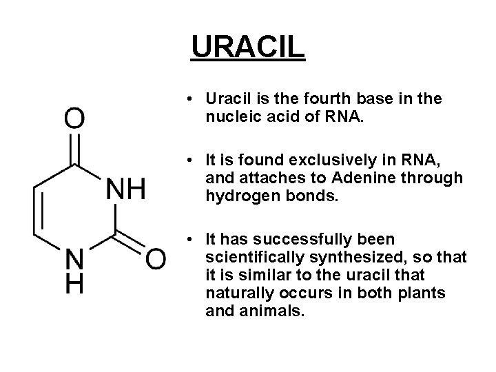 URACIL • Uracil is the fourth base in the nucleic acid of RNA. • URACIL • Uracil is the fourth base in the nucleic acid of RNA. •