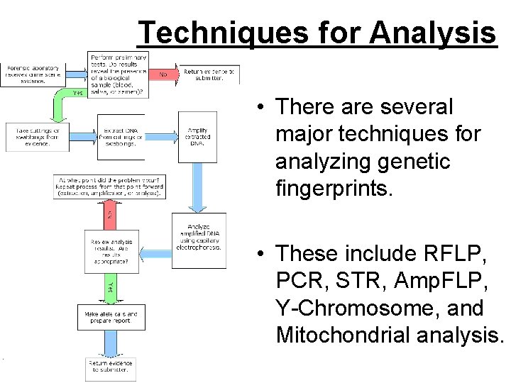 Techniques for Analysis • There are several major techniques for analyzing genetic fingerprints. • Techniques for Analysis • There are several major techniques for analyzing genetic fingerprints. •