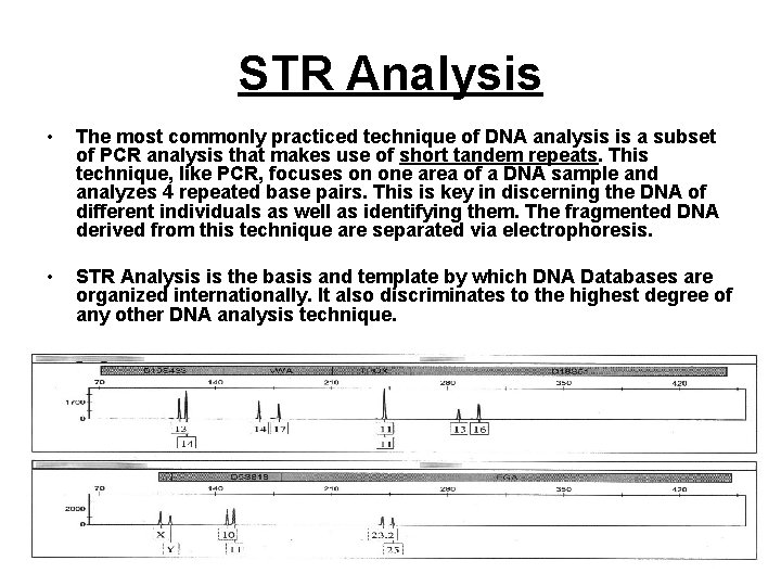 STR Analysis • The most commonly practiced technique of DNA analysis is a subset STR Analysis • The most commonly practiced technique of DNA analysis is a subset