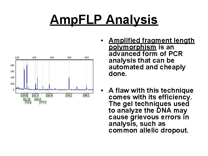 Amp. FLP Analysis • Amplified fragment length polymorphism is an advanced form of PCR Amp. FLP Analysis • Amplified fragment length polymorphism is an advanced form of PCR