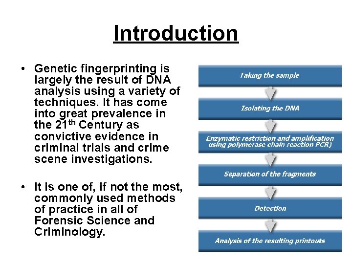 Introduction • Genetic fingerprinting is largely the result of DNA analysis using a variety Introduction • Genetic fingerprinting is largely the result of DNA analysis using a variety