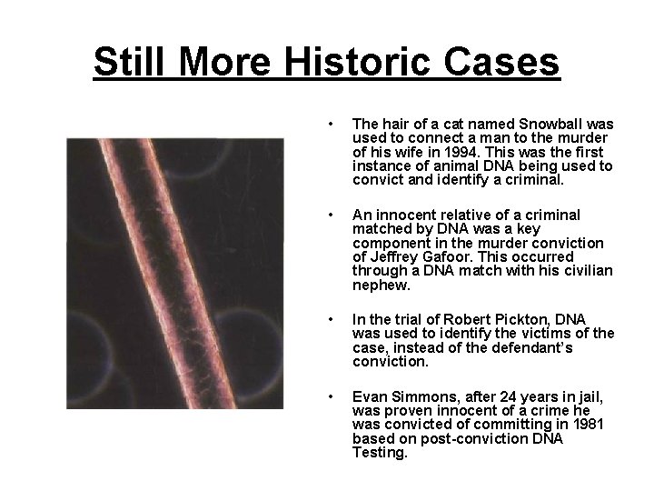 Still More Historic Cases • The hair of a cat named Snowball was used Still More Historic Cases • The hair of a cat named Snowball was used