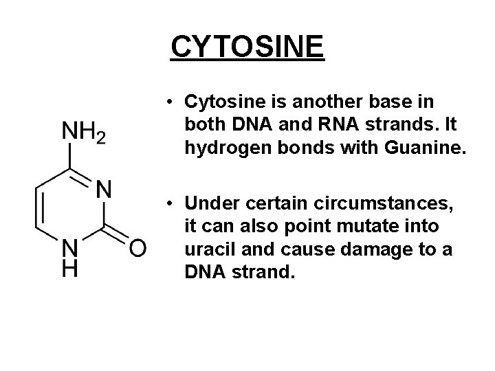 CYTOSINE • Cytosine is another base in both DNA and RNA strands. It hydrogen CYTOSINE • Cytosine is another base in both DNA and RNA strands. It hydrogen