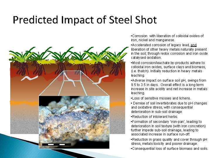 Predicted Impact of Steel Shot 0. 5 cm • Corrosion with liberation of colloidal