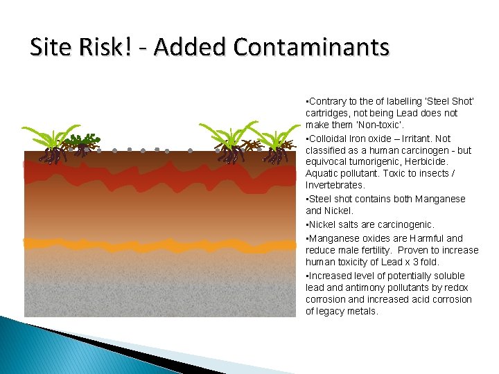 Site Risk! - Added Contaminants • Contrary to the of labelling ‘Steel Shot’ cartridges,