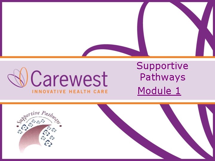 Supportive Pathways Module 1 