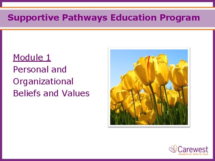 Supportive Pathways Education Program Module 1 Personal and Organizational Beliefs and Values 
