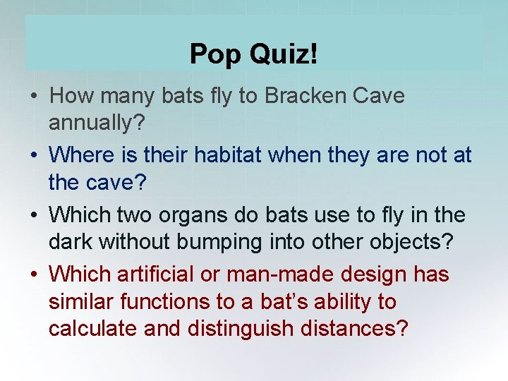 Pop Quiz! • How many bats fly to Bracken Cave annually? • Where is