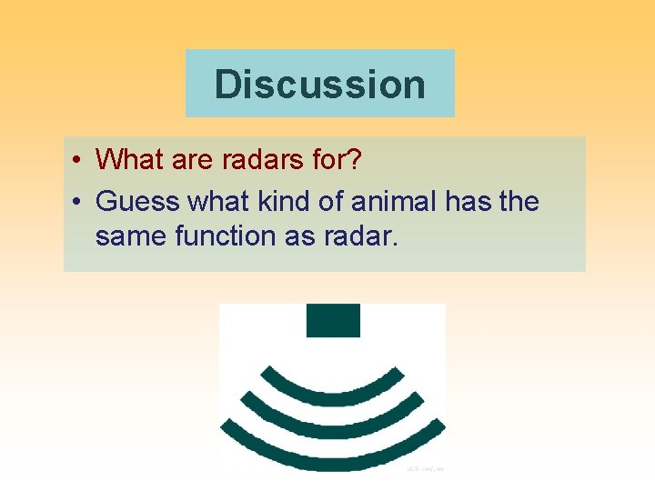 Discussion • What are radars for? • Guess what kind of animal has the