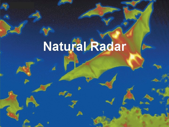 Natural Radar 