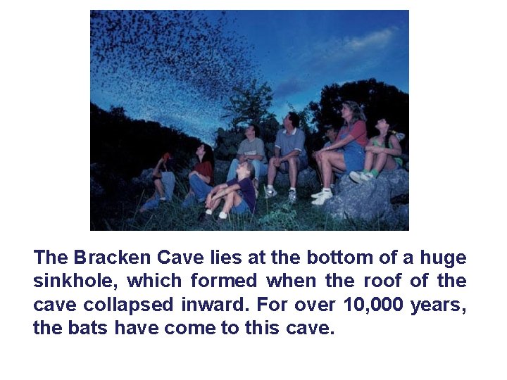 The Bracken Cave lies at the bottom of a huge sinkhole, which formed when