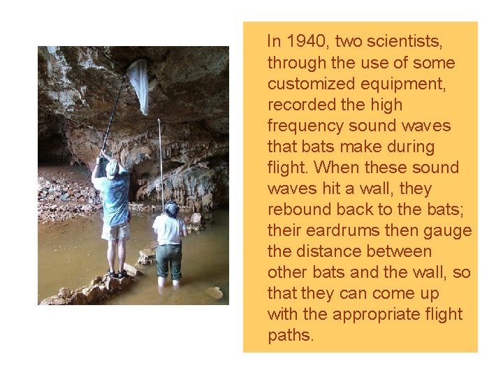 In 1940, two scientists, through the use of some customized equipment, recorded the high