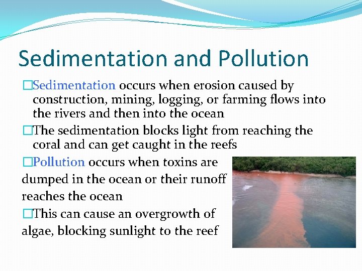 Sedimentation and Pollution �Sedimentation occurs when erosion caused by construction, mining, logging, or farming