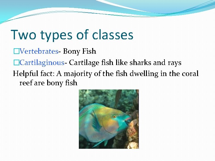 Two types of classes �Vertebrates- Bony Fish �Cartilaginous- Cartilage fish like sharks and rays