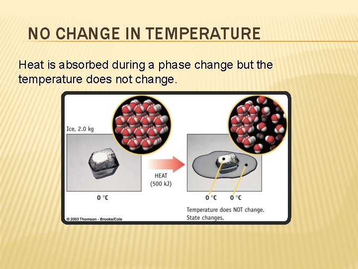 NO CHANGE IN TEMPERATURE Heat is absorbed during a phase change but the temperature