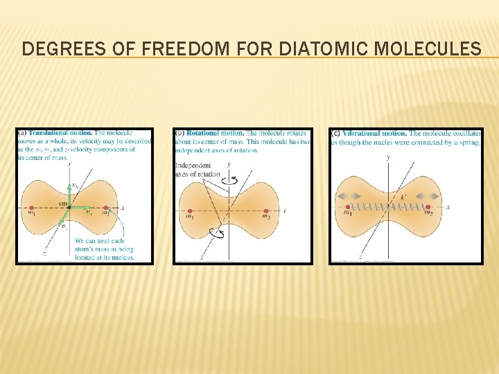 DEGREES OF FREEDOM FOR DIATOMIC MOLECULES 