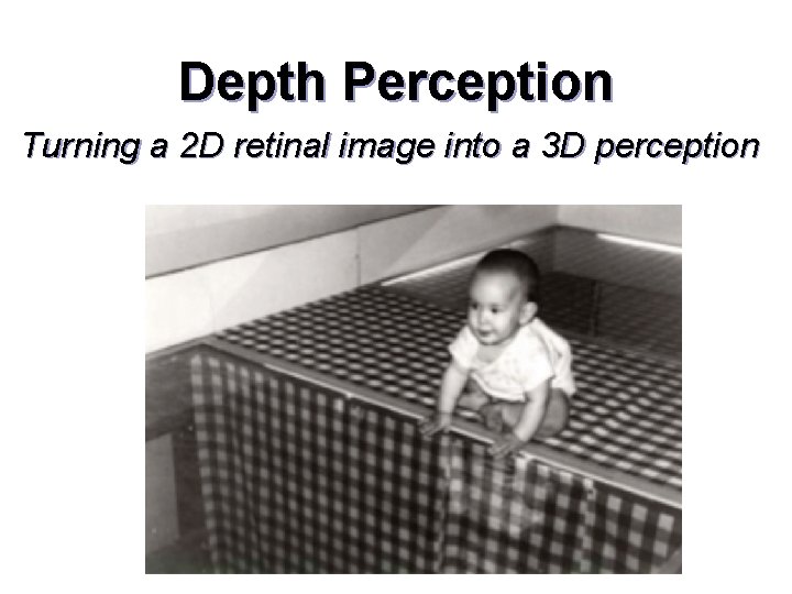 Depth Perception Turning a 2 D retinal image into a 3 D perception 
