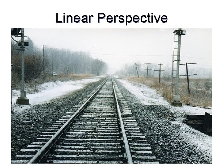 Linear Perspective http: //www-psych. stanford. edu/~lera/psych 115 s/notes/lecture 8/figures 1. html#size http: //ahsmail. uwaterloo.