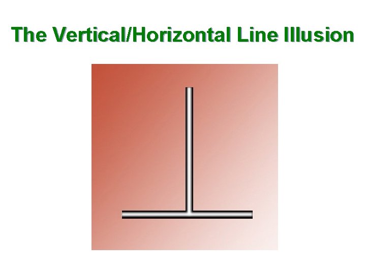 The Vertical/Horizontal Line Illusion 