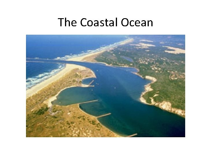 The Coastal Ocean 