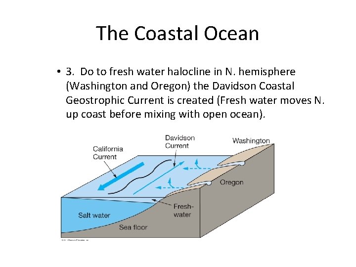 The Coastal Ocean • 3. Do to fresh water halocline in N. hemisphere (Washington