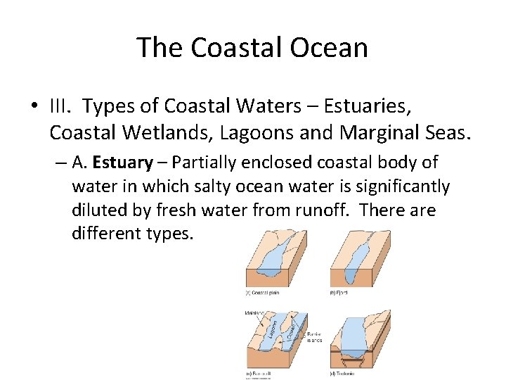 The Coastal Ocean • III. Types of Coastal Waters – Estuaries, Coastal Wetlands, Lagoons