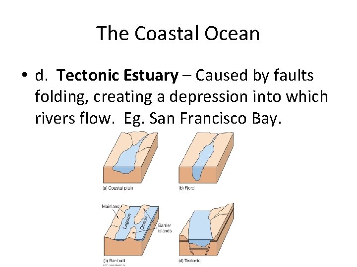 The Coastal Ocean • d. Tectonic Estuary – Caused by faults folding, creating a