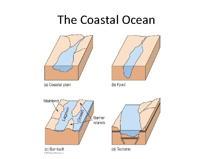 The Coastal Ocean 