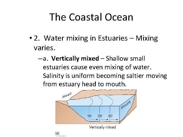 The Coastal Ocean • 2. Water mixing in Estuaries – Mixing varies. – a.