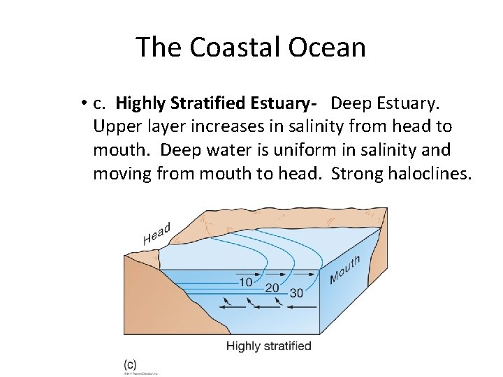 The Coastal Ocean • c. Highly Stratified Estuary- Deep Estuary. Upper layer increases in