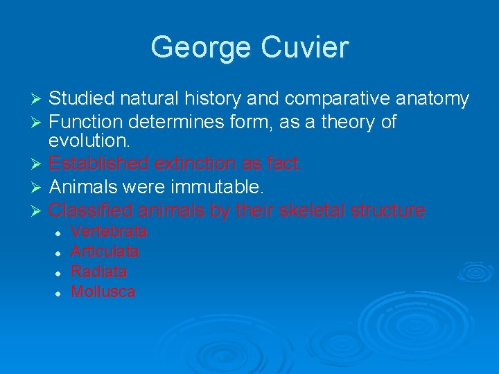 George Cuvier Studied natural history and comparative anatomy Function determines form, as a theory
