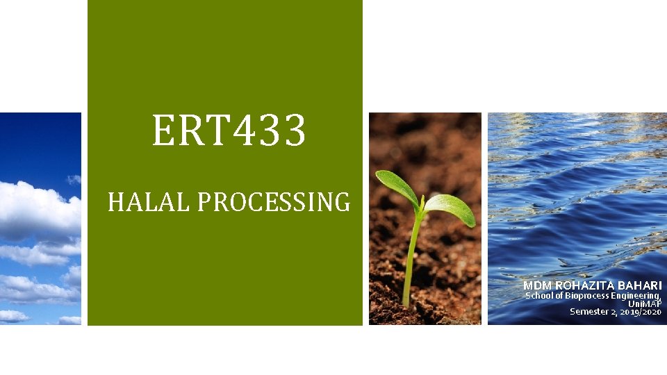 ERT 433 HALAL PROCESSING MDM ROHAZITA BAHARI School of Bioprocess Engineering, Uni. MAP Semester