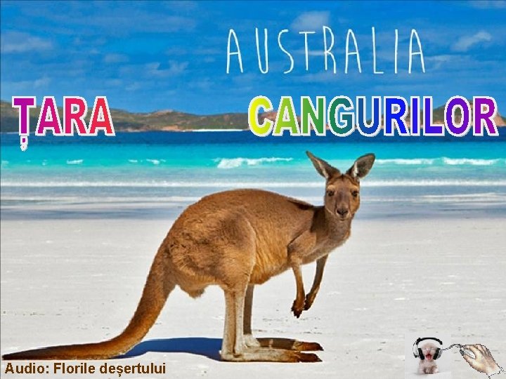 Audio: Florile deșertului 